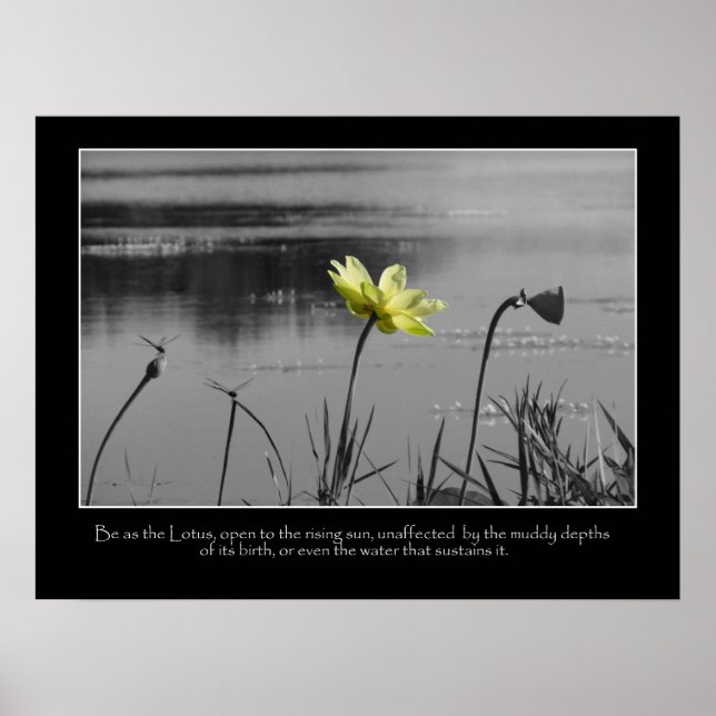 Poster de motivation Lotus and Dragonflies (Devant)