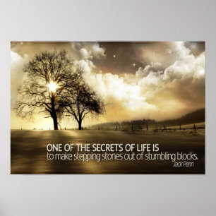 Poster de motivation Secrets of Life