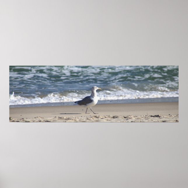Poster de mouettes sur la plage (Devant)
