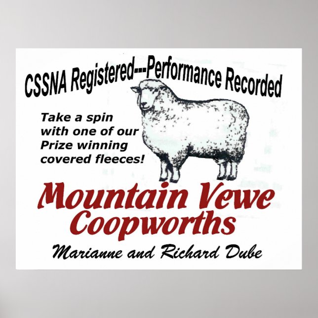Poster de Mountain Vewe Coopworth (Devant)