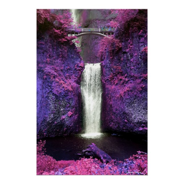 Poster de Multnomah Falls 18,67 po x 28 po (Devant)