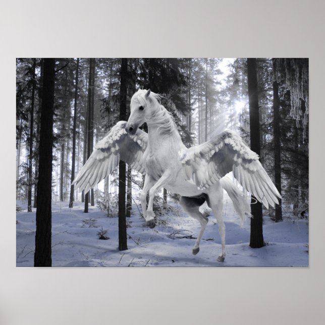 Poster de neige de la forêt de Cheval Volant Pegas (Devant)