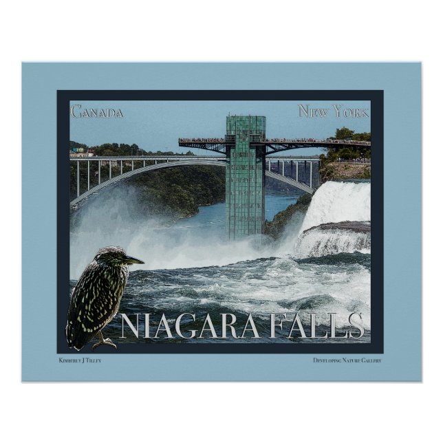 Poster de Niagara Falls (Devant)