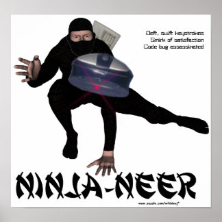 Poster de Ninja-neer