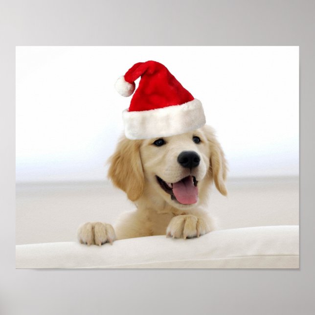 Poster de Noël pour marionnettes Golden Retriever (Devant)
