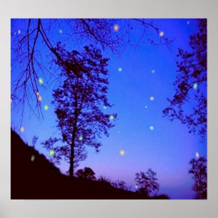 Poster de nuit enchanté