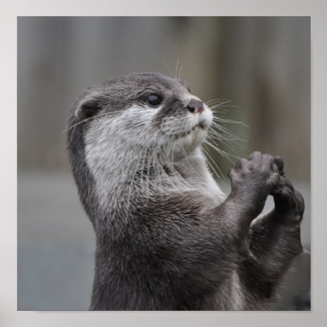 Poster de Otter Mastermind (Devant)