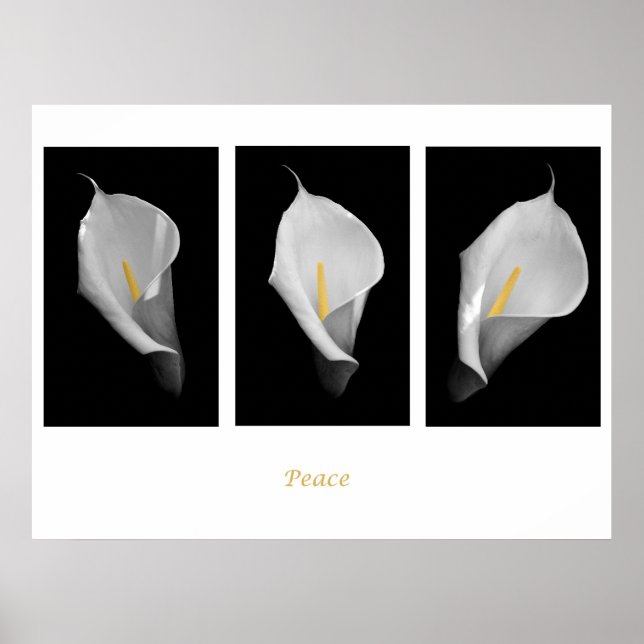 Poster de paix (Devant)