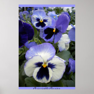 Poster de Pansies de périphérique