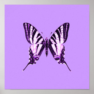 Poster de papillon pourpre