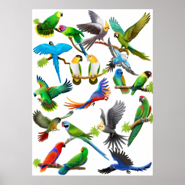 Poster de Parrots Galore (Devant)
