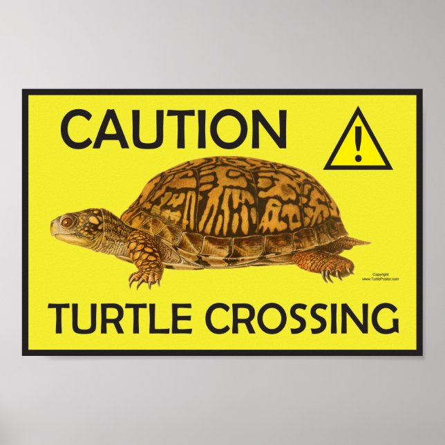 Poster de passage de tortues de prudence (Devant)