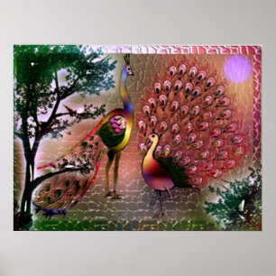 Poster de Peacocks