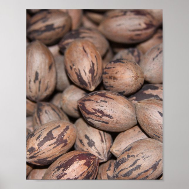 Poster de Pecan (Devant)