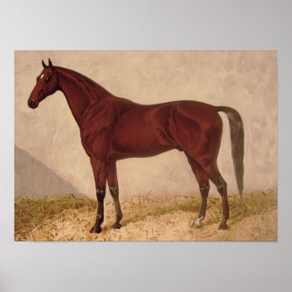 Poster de peinture de Cheval Arabe