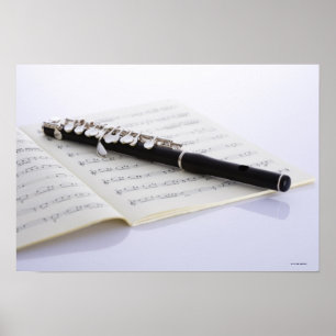 Poster De petite flûte