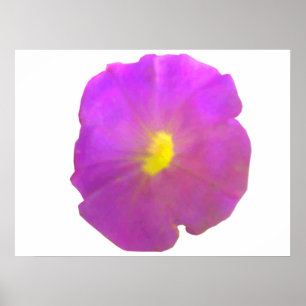 Poster de Petunia violet
