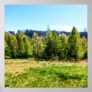Poster de photo de paysage d'arbre rustique