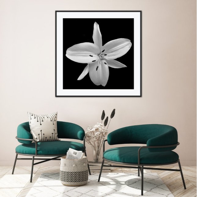 Poster de photographie noir et blanc (Créateur téléchargé)