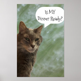 Poster de photos de chats amusants