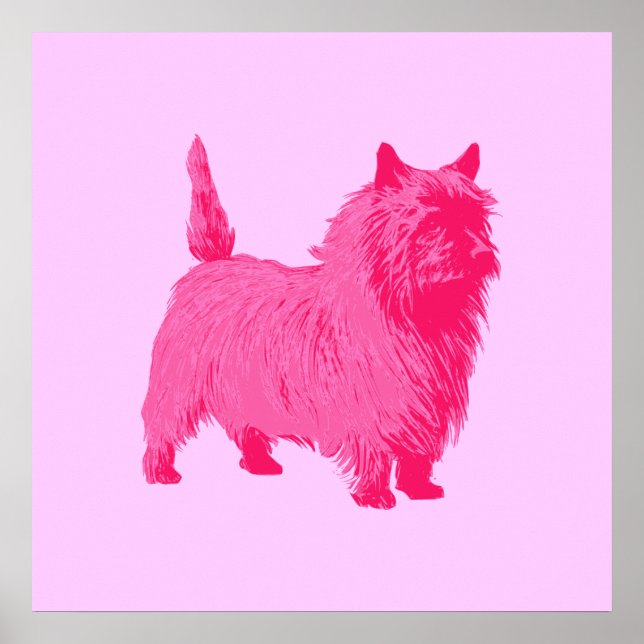 Poster de Pink Cairn Terrier (Devant)