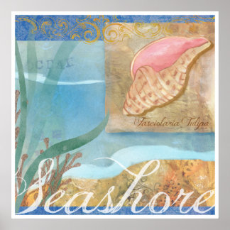Poster de plage IV, "Seashore with Tulip Shell"