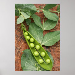 Poster de pois