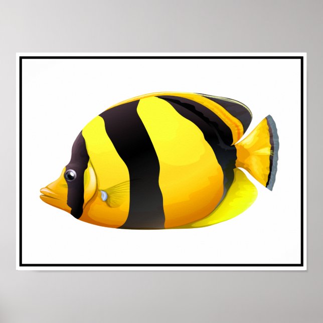 Poster de poisson rayé (Devant)