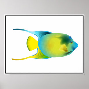 Poster de poisson tropical