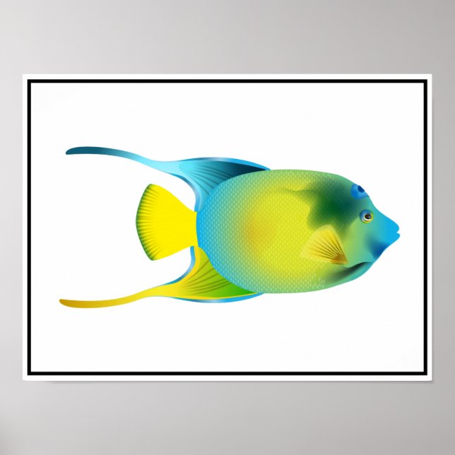 Poster de poisson tropical (Devant)