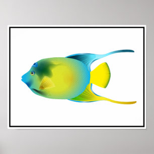 Poster de poisson tropical