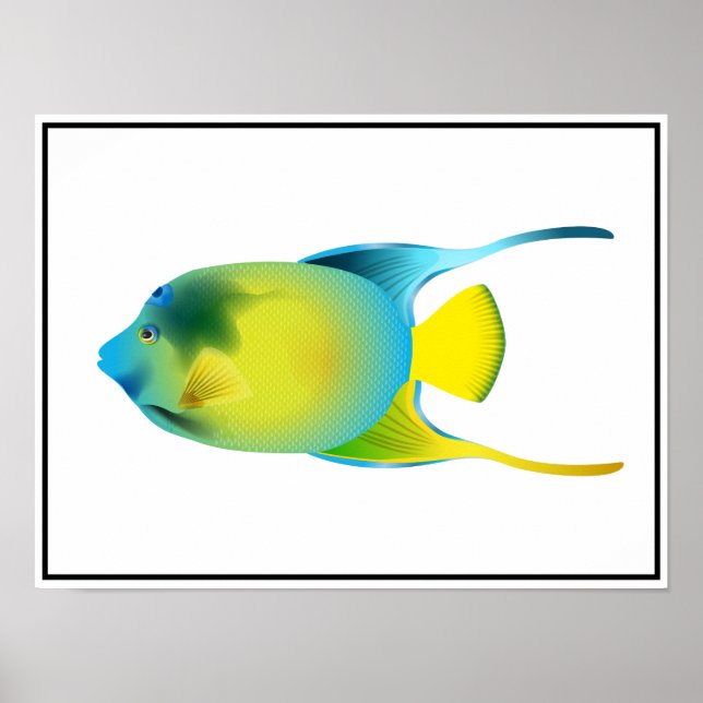 Poster de poisson tropical (Devant)