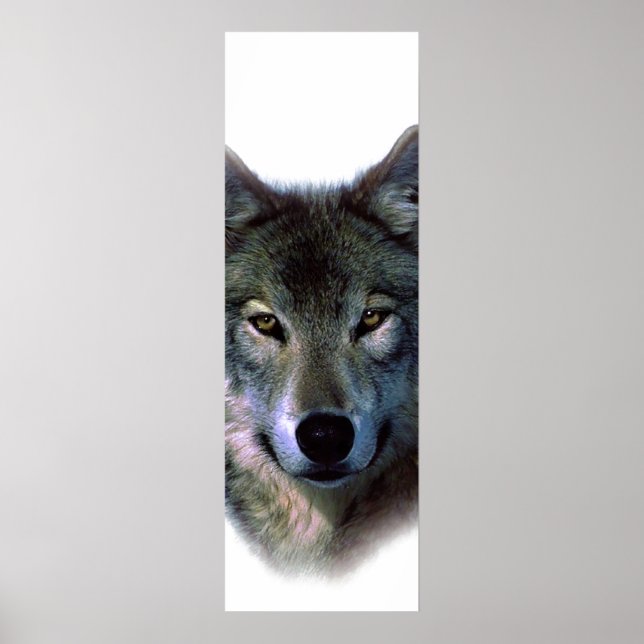 Poster de porte Motivationnelle des yeux de loup g (Devant)