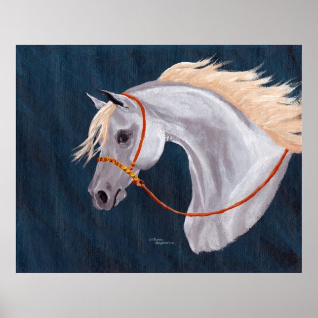 Poster de portrait de Cheval Arabe gris (Devant)