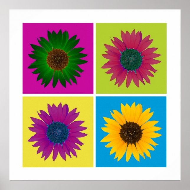Poster de quatre tournesols en couleur (Devant)