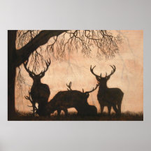 Poster de Red Deer Stags
