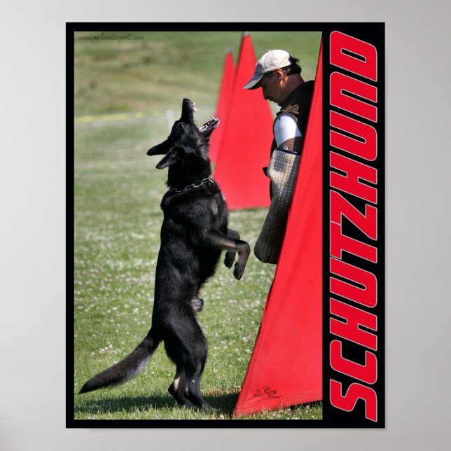 Poster de Schutzhund German Shepherd Dog (Devant)