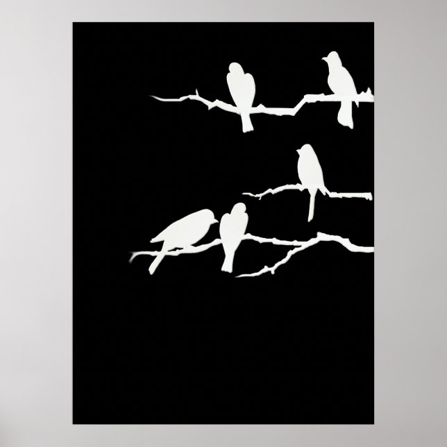Poster de silhouette d'oiseau blanc (Devant)