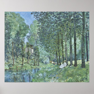 Poster de Sisley Edge of Wood