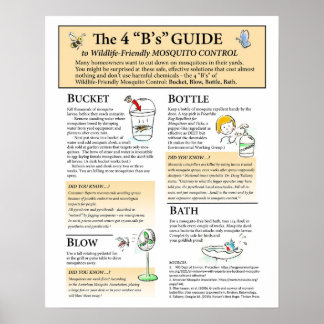 Poster de solutions pour moustiques respectueuses 