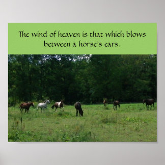 Poster de soutien Secourt du cheval de course