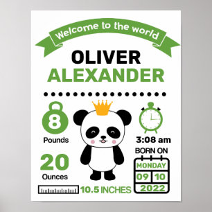 Poster de statistiques de naissance de bébé Panda