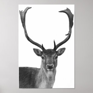 Poster de style Cabine noir blanc cerf