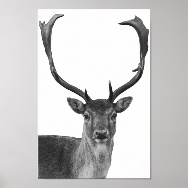 Poster de style Cabine noir blanc cerf (Devant)