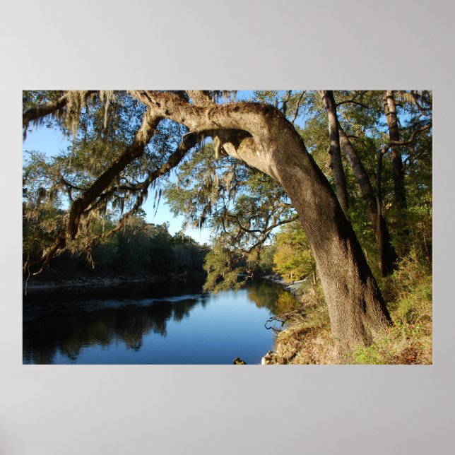 Poster de Suwannee River (Devant)