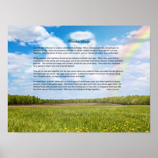 Poster de Sympathie pour chien mâle Rainbow Bridge (Devant)
