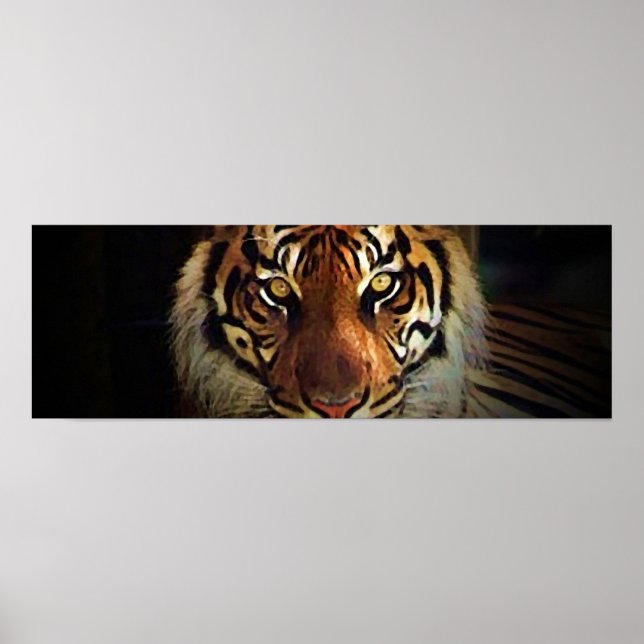 Poster de Tiger Eyes - Posters Wild Life (Devant)