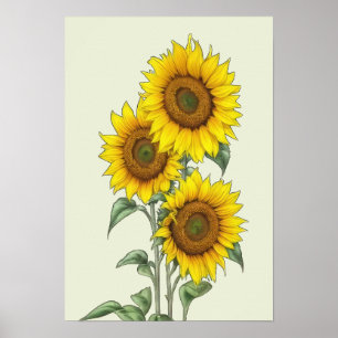 Poster de tournesol aquarelle