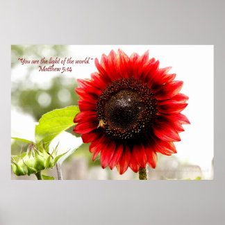 Poster de tournesol rouge avec Matthieu 5:14 Bible