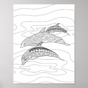 Poster de trois dauphins de couleur adulte